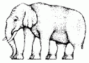Ilusión ótica - las patas del elefante