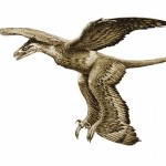 dinosaurio-cuatro-alas