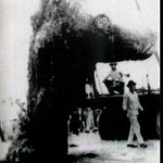 monstruo-de-tecolutla