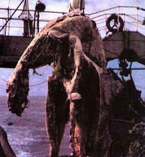 monstruo-del-zuiyo-maru