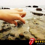perspectivas-3