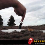 perspectivas-9