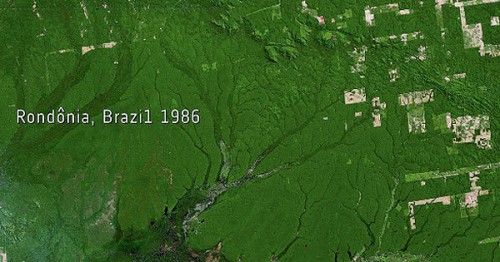 Selva del Amazonas en 1986