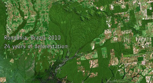 Selva del Amazonas en 2010