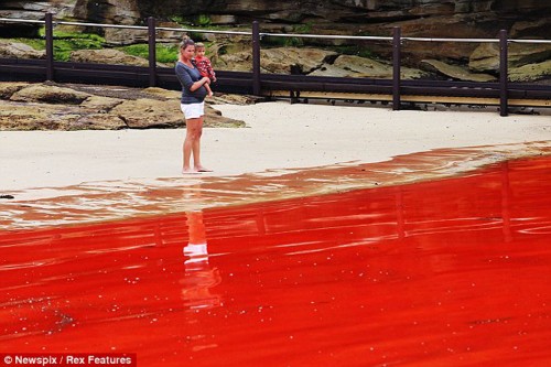 Impresionante marea roja en Australia