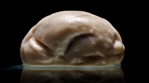 El cerebro más extraño y enigmático de la historia de la ciencia