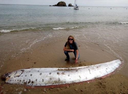 Handout photo of Conservation operations coordinator Catalano of the Catalina Conservancy poses near an oarfish that washed up dead on the beach of Catalina Island, California