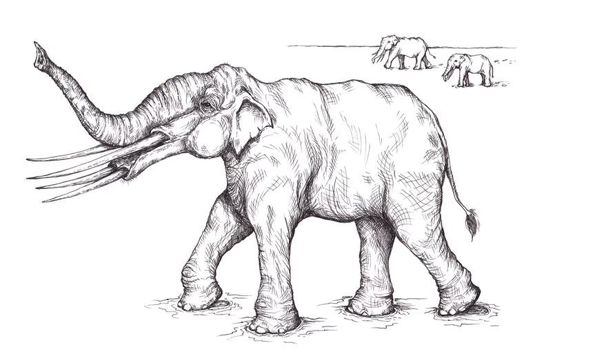 Elefantes prehistóricos