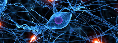 Alzheimer : Que sucede cuando olvidamos?