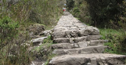 camino del inca